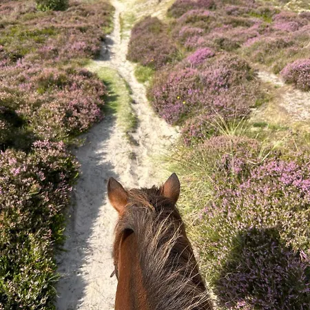 Blockhuette 아파트