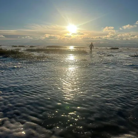 Blockhuette Appartement *